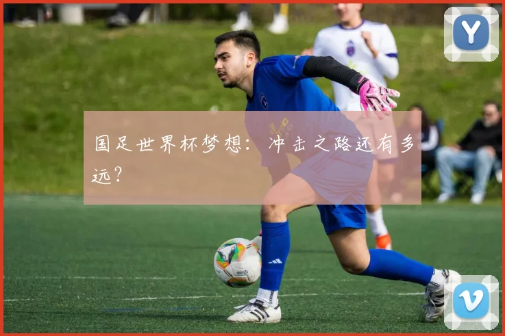 国足世界杯梦想:冲击之路还有多远?