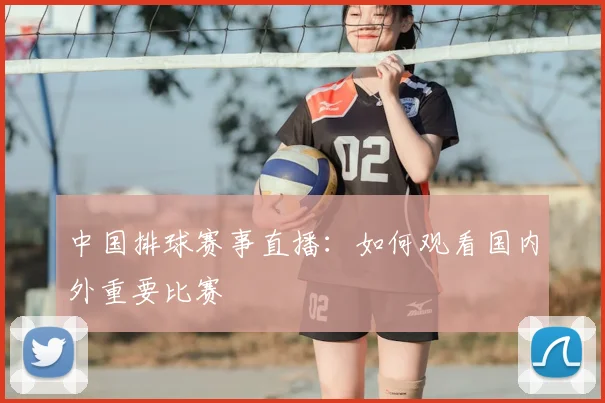 中国排球赛事直播：如何观看国内外重要比赛