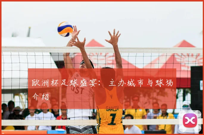 欧洲杯足球盛宴：主办城市与球场介绍