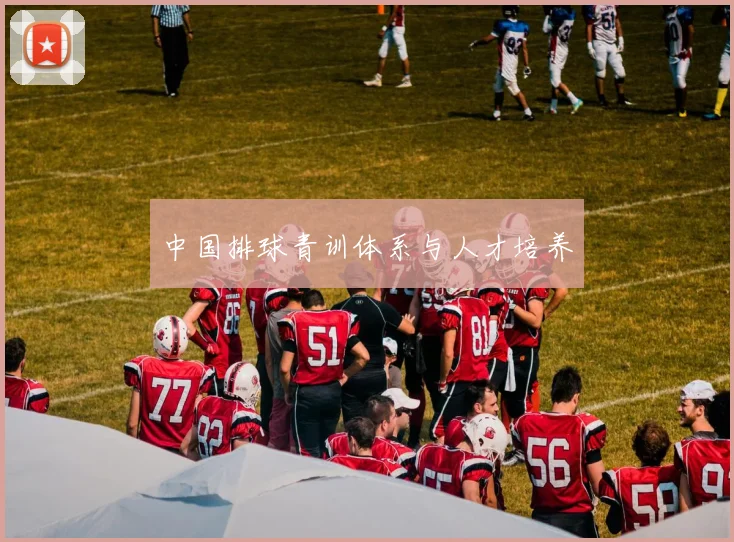 中国排球青训体系与人才培养